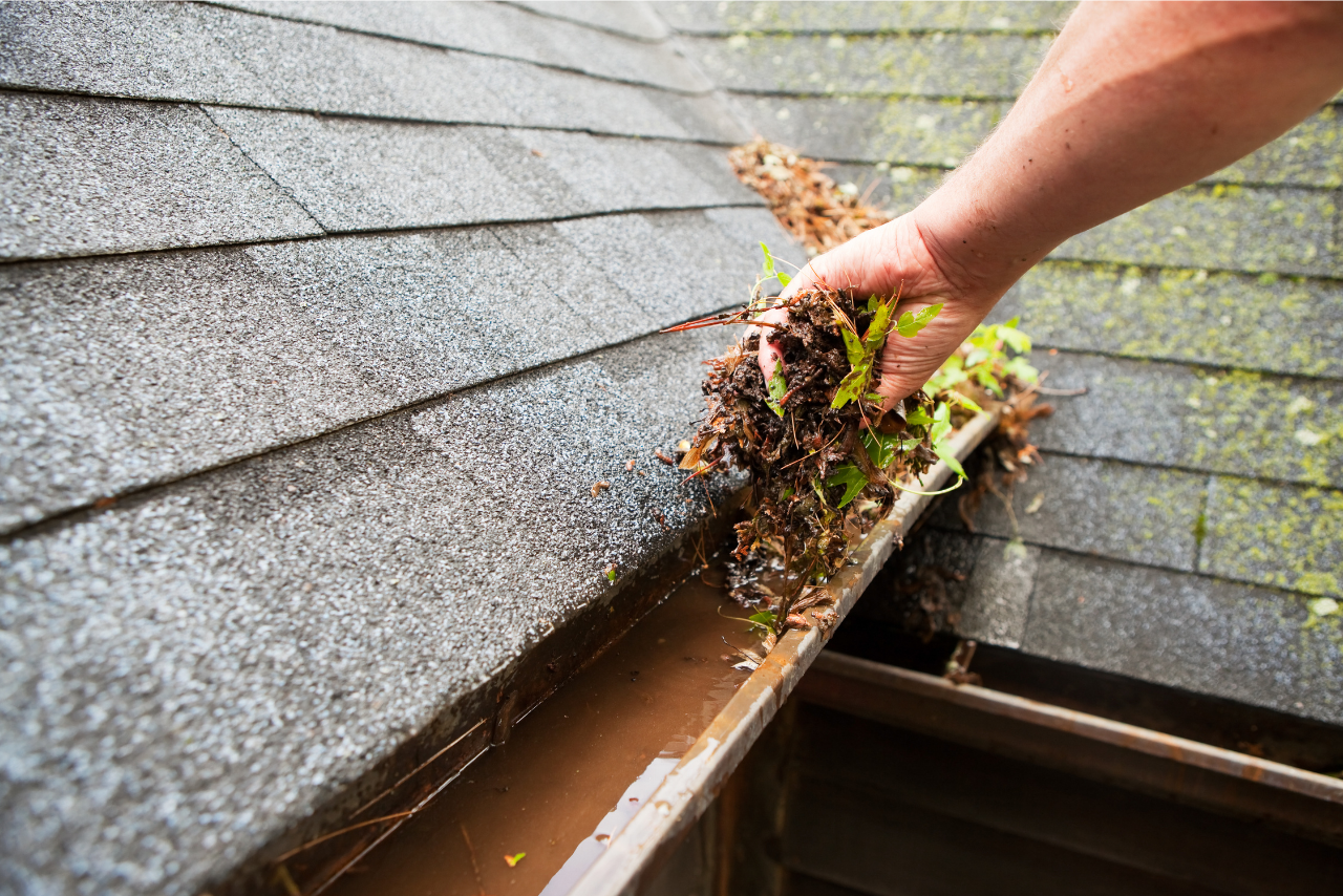 Flush The Guts Inc. Gutter Cleaning Service